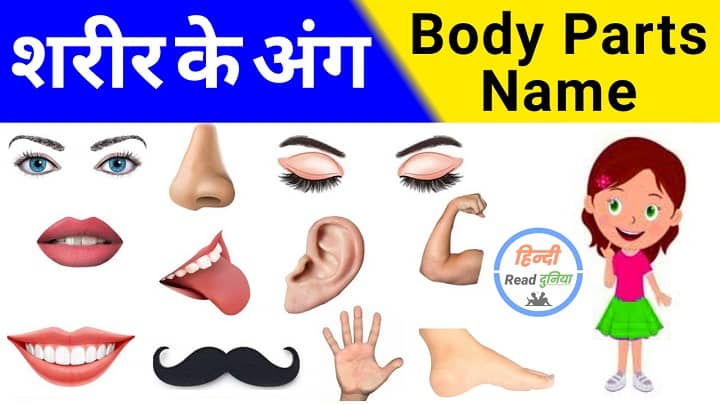 Human Body Parts Name Quiz With Answers | शरीर के अंगों के नाम का क्विज़